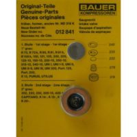 Bauer Suction Valve Kit 012841