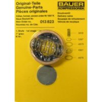 Bauer Discharge Valve Kit 013823