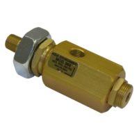 Adjustable Regulator 0-250 PSI